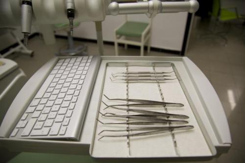 Какую роль играют моляры и все ли они необходимы. Моляры и премоляры