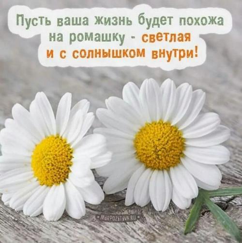Как часто вы можете делать красивые пожелания добра и счастья. 28 самых лучших пожеланий добра, на все случаи жизни.