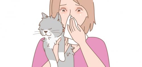 Что такое аллергены и как они влияют на организм. Что вызывает аллергию?