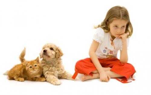 Без аллергии: 10 простых способов сделать ваш дом безопасным 06 Без аллергии: 10 простых способов сделать ваш дом безопасным 06