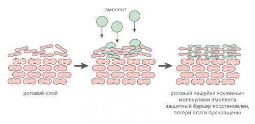 Можно ли Использовать лосьоны и кремы для снятия зуда при аллергии. III. Использовать местные средства