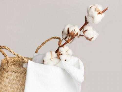 Какие сорта одежды и постельного белья наиболее безопасны для аллергиков. Хлопок
