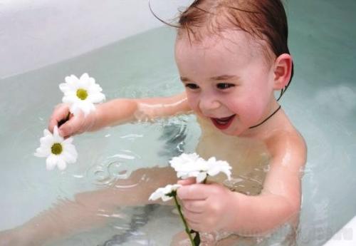 Природные средства для борьбы с аллергией: 10 эффективных рецептов 03