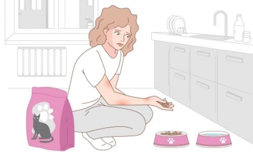 Как избавиться от аллергии на домашних животных. Диагностика аллергии на кошек
