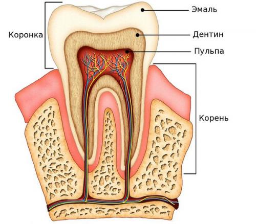 Зубные проблемы и их лечение: все, что нужно знать 01
