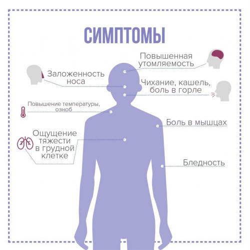 Какие специальные меры профилактики рекомендуются в период эпидемий или пандемий. Как правильно вести себя в условиях эпидемии (пандемии)?