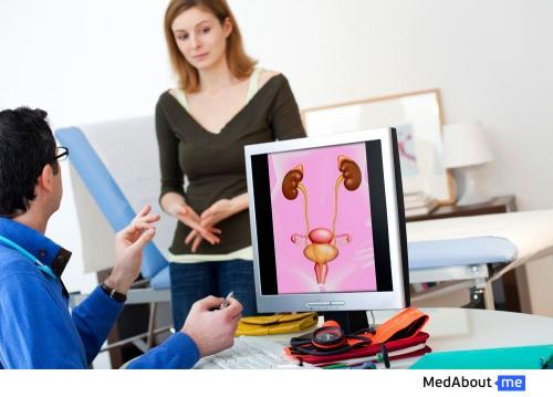 Точное расположение почек и печени в человеческом организме 01