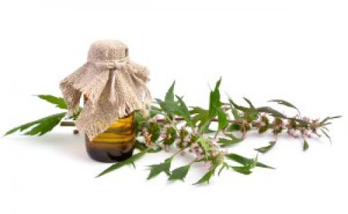 Какие природные добавки можно использовать для поддержания здоровья сердца. 6 домашних средств для здоровья сердца