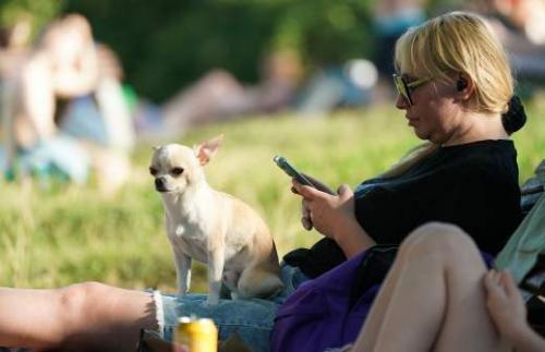 Чем опасны паразиты для здоровья питомцев: советы ветеринара 04