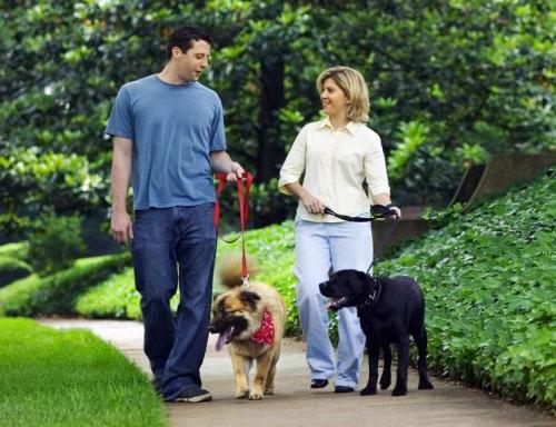 Как животные способствуют улучшению психического здоровья человека 03 Как животные способствуют улучшению психического здоровья человека 03