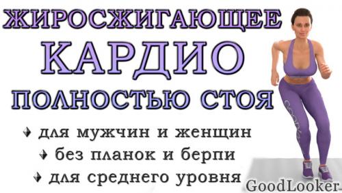 Какие упражнения эффективны для сжигания лишних калорий и поддержания здорового веса. Кардио-тренировка полностью стоя для сжигания жира (средний уровень, без планок и берпи)