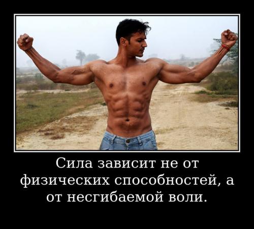 Почему цитаты из мира спорта могут стать мощным стимулом к здоровой жизни. Короткие цитаты про спорт и здоровье