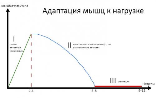 Шаг за шагом: как начать худеть с 60 кг 07 Шаг за шагом: как начать худеть с 60 кг 07