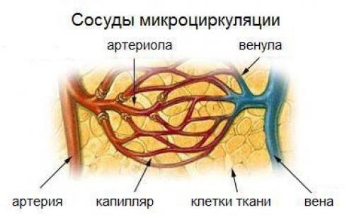 Как правильно выполнять упражнения по физкультуре: советы и рекомендации 06 Как правильно выполнять упражнения по физкультуре: советы и рекомендации 06