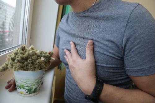 Какие вредные привычки могут привести к развитию сердечно-сосудистых заболеваний. Привычки, вредные для сердца