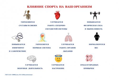 Сообщение на тему спорт и здоровье. ВЛИЯНИЕ СПОРТА НА ВАШ ОРГАНИЗМ