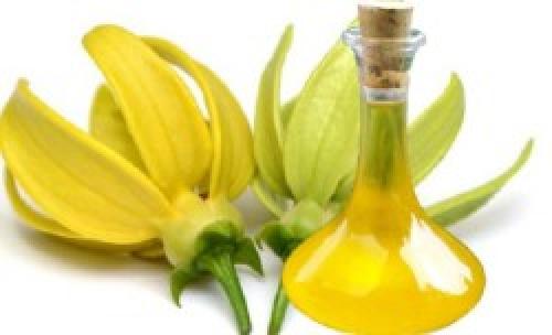 Как можно использовать ароматерапию для восстановления нервной системы. Какое эфирное масло успокаивает нервную систему и способствует хорошему сну — Топ 8 видов