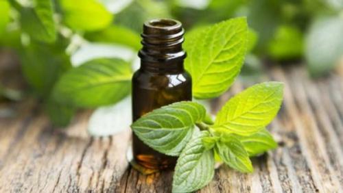 Могут ли природные масла быть эффективным средством против морщин. Польза и целебная сила эфирных масел для омоложения кожи