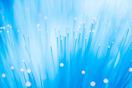 В чем заключается преимущество использования клетчатки для улучшения работы кишечника. Клетчатка: определение и виды