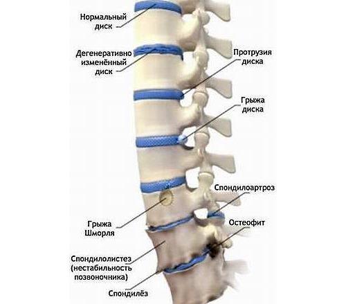 Как йога помогает мужчинам улучшить физическую форму и здоровье 04