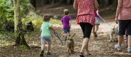 Как домашние животные способствуют развитию у детей 05