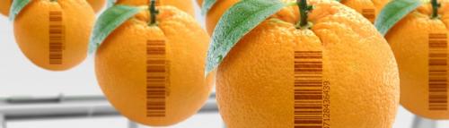 Топ-10 продуктов, которые помогут укрепить ваши суставы 03