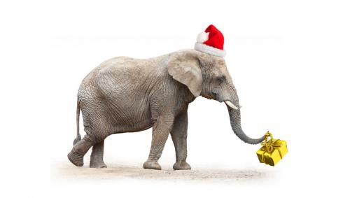 Юбилей коллектива: как написать трогательное поздравление в прозе 08