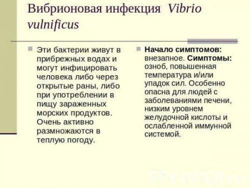Топ-10 продуктов, способствующих улучшению потенции у мужчин после 45 04