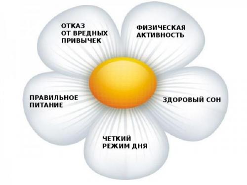 Вредные привычки: как они влияют на ваше здоровье 03 Вредные привычки: как они влияют на ваше здоровье 03
