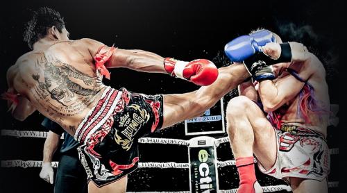 Какие виды спорта можно выбрать для активного образа жизни. Каким спортом заняться