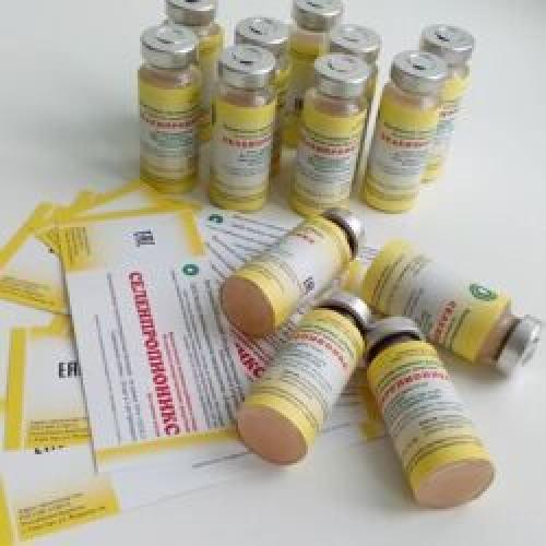 Как подобрать дозировку селен таблеток для достижения максимальной пользы. Органический селен в пробиотиках