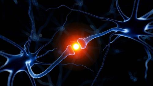 Важность микроэлементов для здоровья глаз: что нужно знать 05