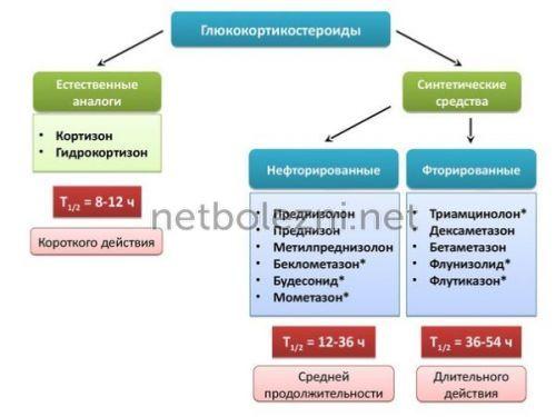 Эффективность мазей от аллергии на коже у взрослых: что выбрать 01