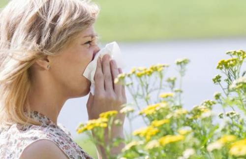 Аллергия как негативное последствие загазованности крупных городов 05