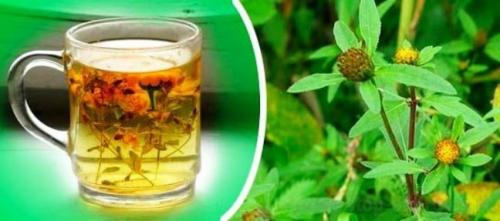 Природные средства для борьбы с аллергией: 10 эффективных рецептов 02 Природные средства для борьбы с аллергией: 10 эффективных рецептов 02